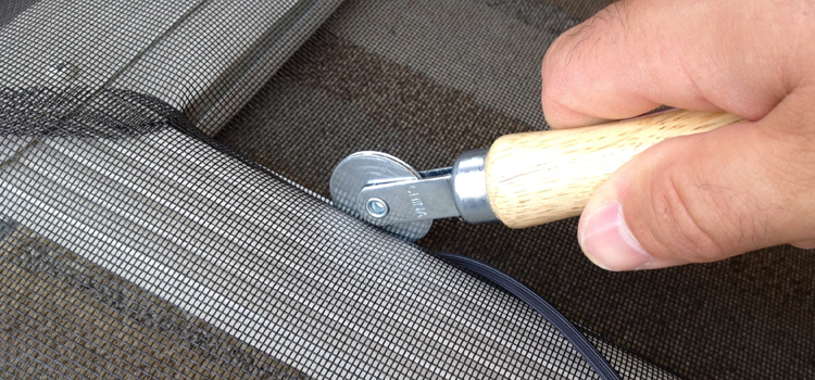 metal screen door repair in St. Petersburg